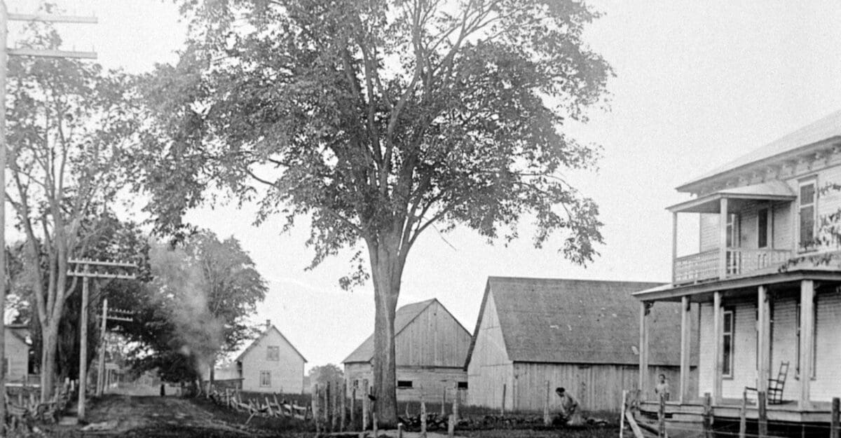 Maison d'Euclide Lesage située à droite, vers 1920 - Collection Guy Thibault