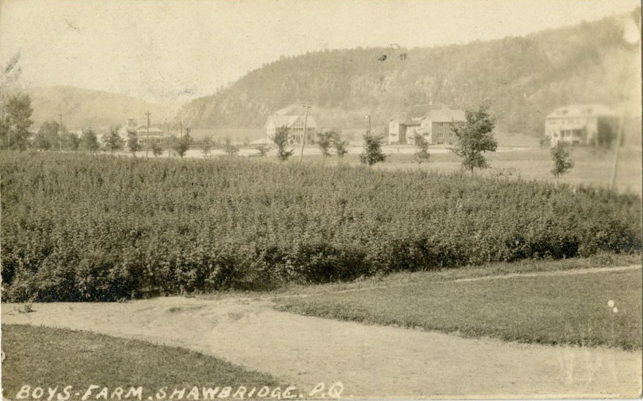 Vue générale sur le Boy's Farm vers 1924 - Collection de Bibliothèque et Archives nationales du Québec - © M. Jurist