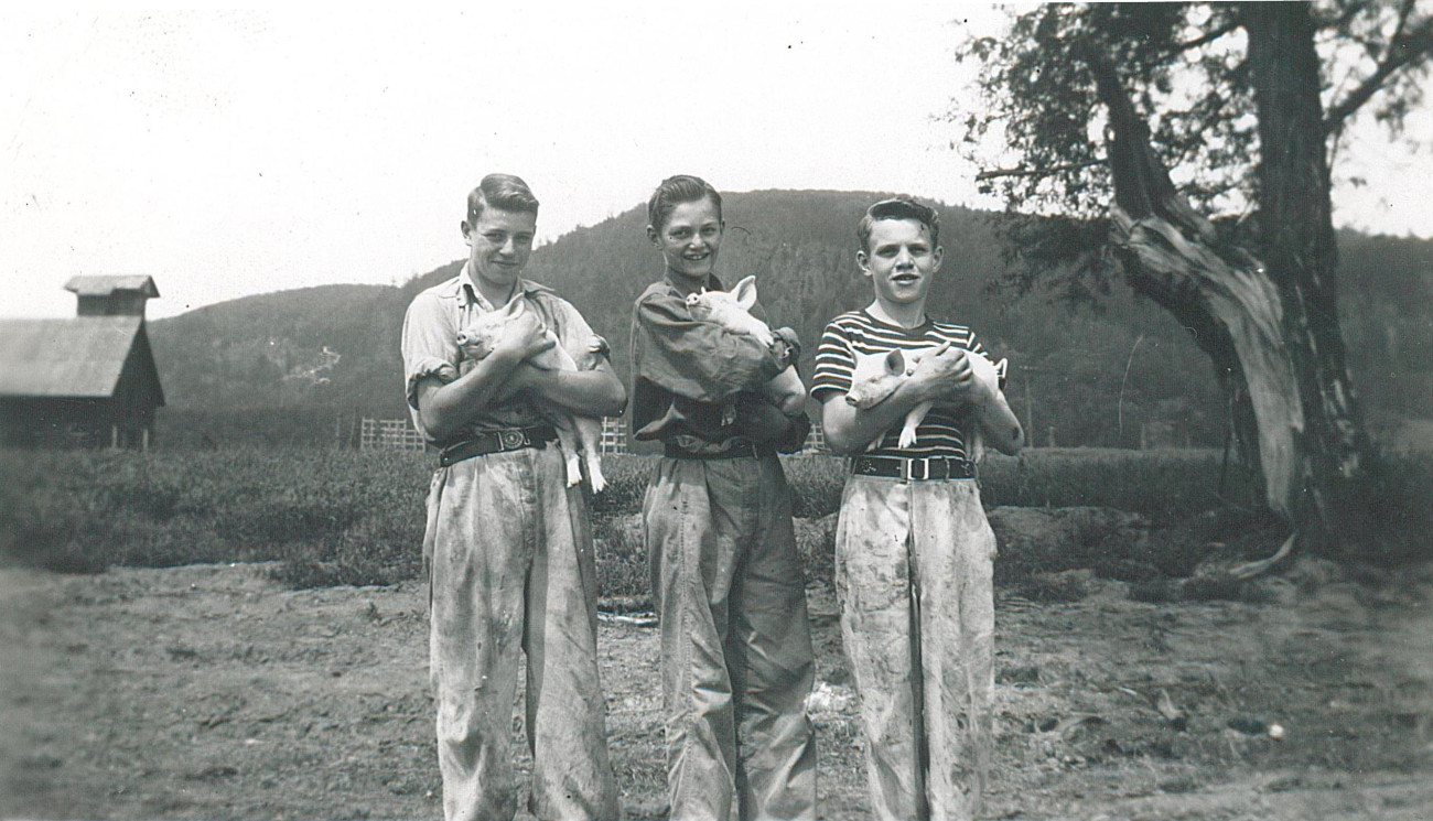 Enfants du Boy's Farm tenant des porcelets - Collection Sheldon Segal