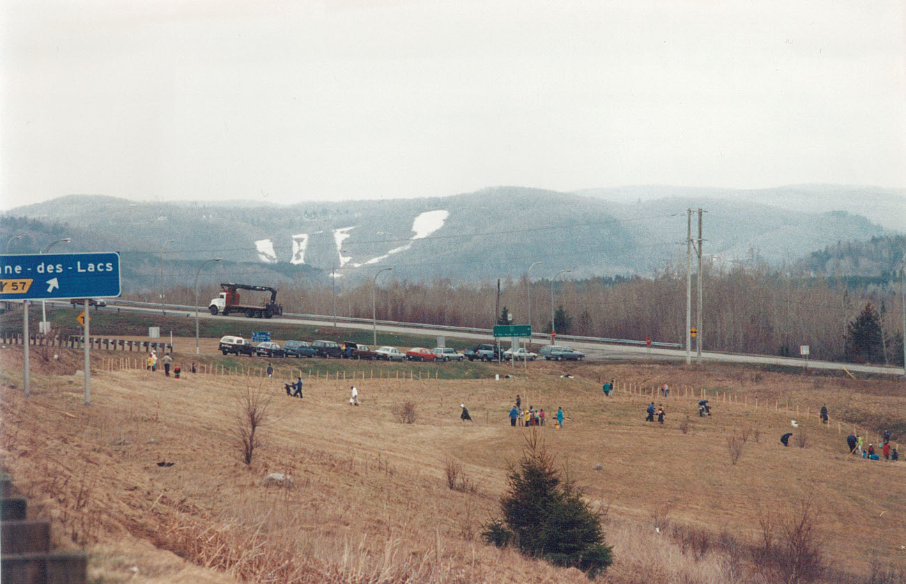 Plantatation d'arbres par les Scouts près de l'autoroute des Laurentides - Collection Loyola Leroux