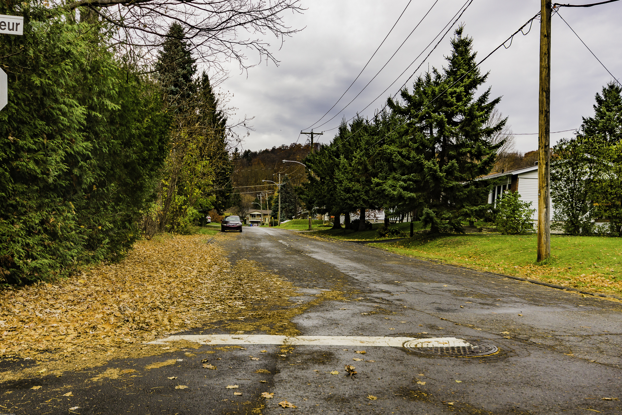 Rue Filiatrault en 2016 - Collection Ville de Prévost - © Gaston Bessette