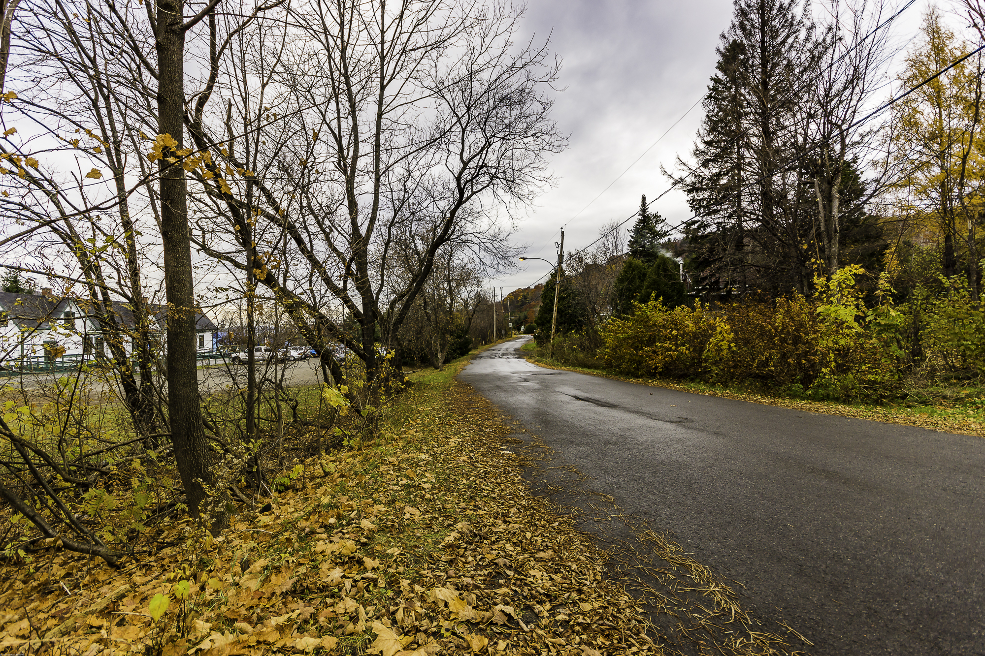 Rue Guénette en 2016 - Collection Ville de Prévost - © Gaston Bessette