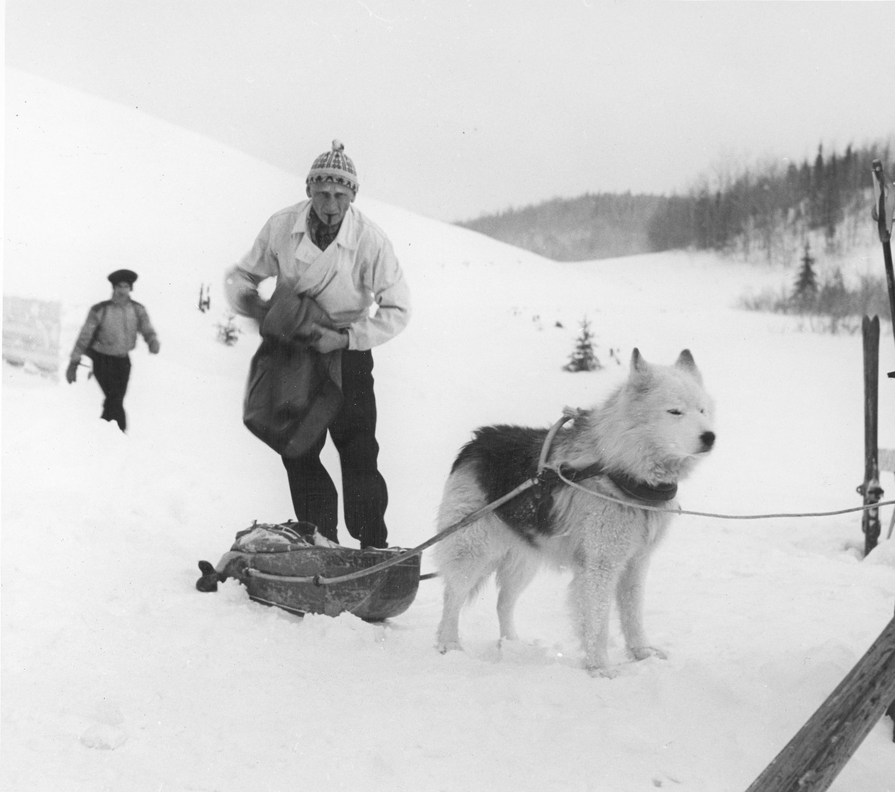 Herman Smith-Johannsen (JackRabbit) au Sun Valley Farm en février 1942 avec son chien et son traineau - Histoire et Archives Laurentides, Fonds Raoul Clouthier, P132,S2,D18,P02