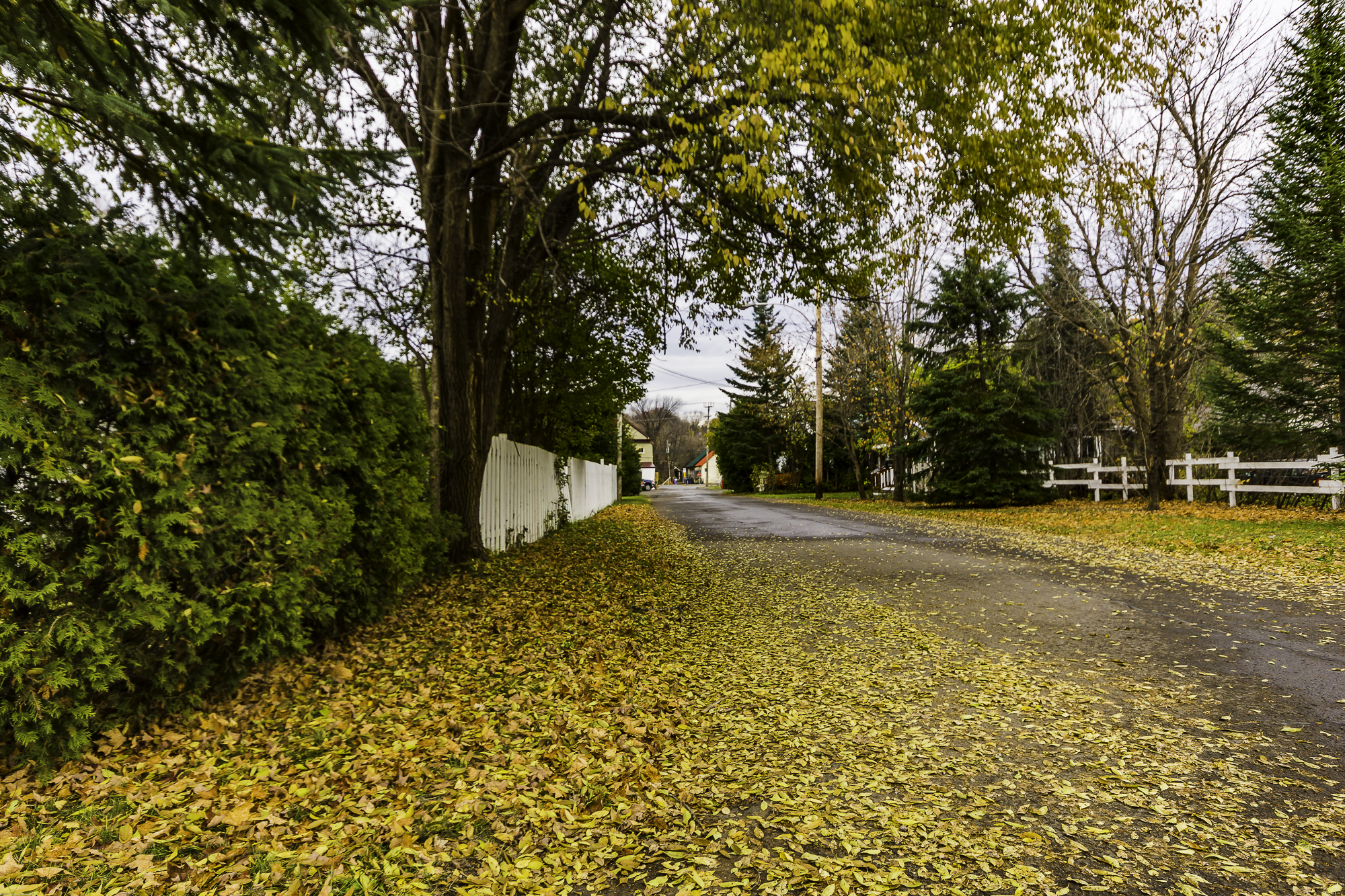 Rue Paquin en 2016 - Collection Ville de Prévost - © Gaston Bessette